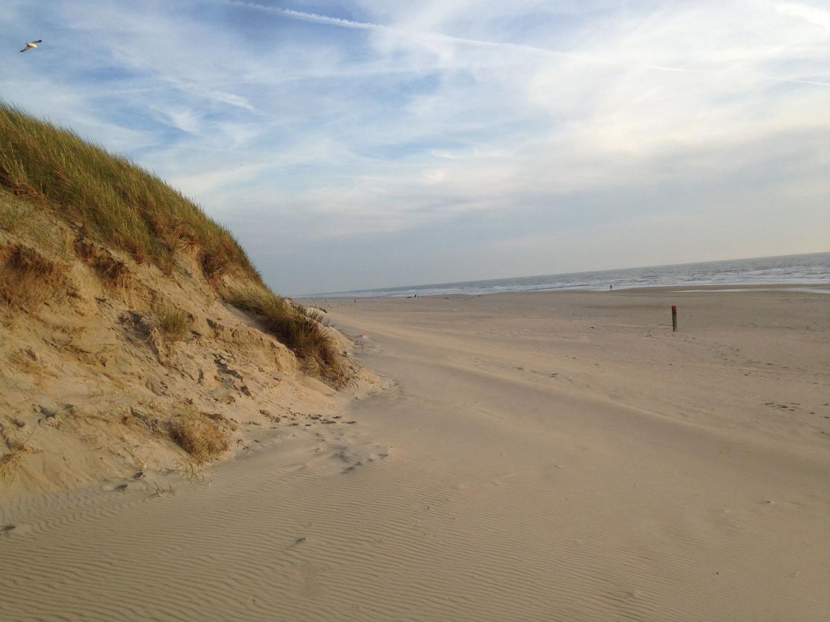Beachhouses Texel De Koog  Eksteriør billede